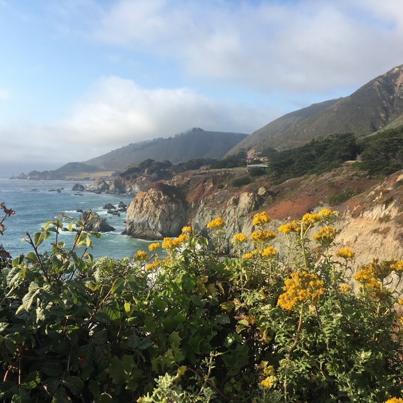 Meet your Posher, Meredith - Picture 1 of 1